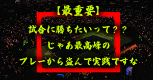 テニスは見ると上手くなる【プロの試合は通しでも絶対に見るべき】