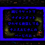 ナイロン検証